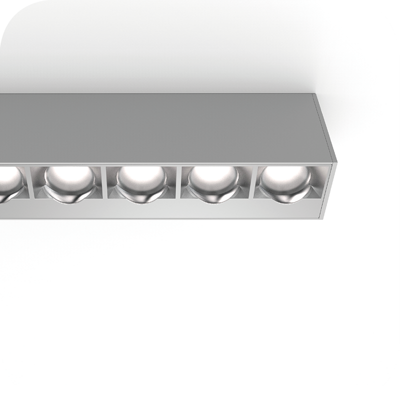 Wallgrazer-BIW-S