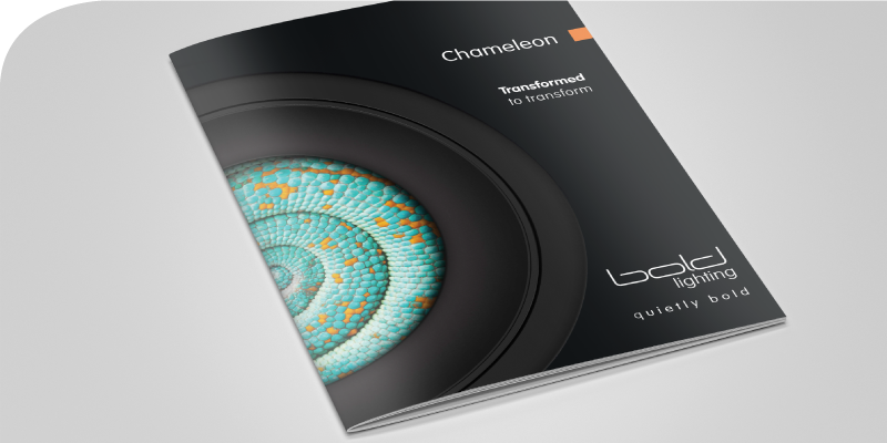 TRANSFORMED TO TRANSFORM - <strong>CHAMELEON</strong>